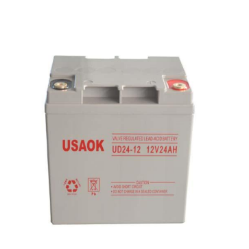 USAOK蓄电池UD24-12